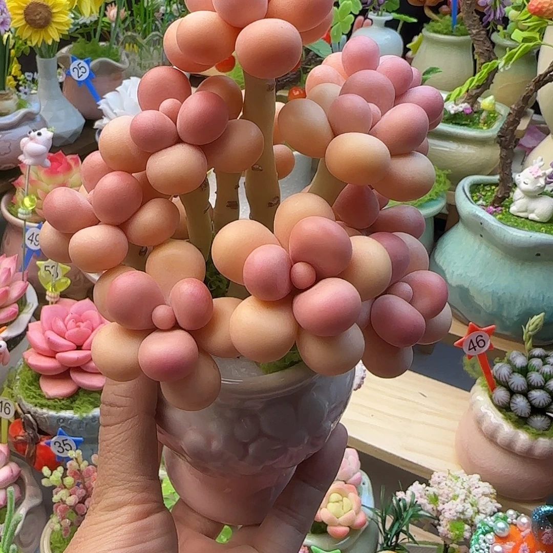 树脂粘土仿真多肉