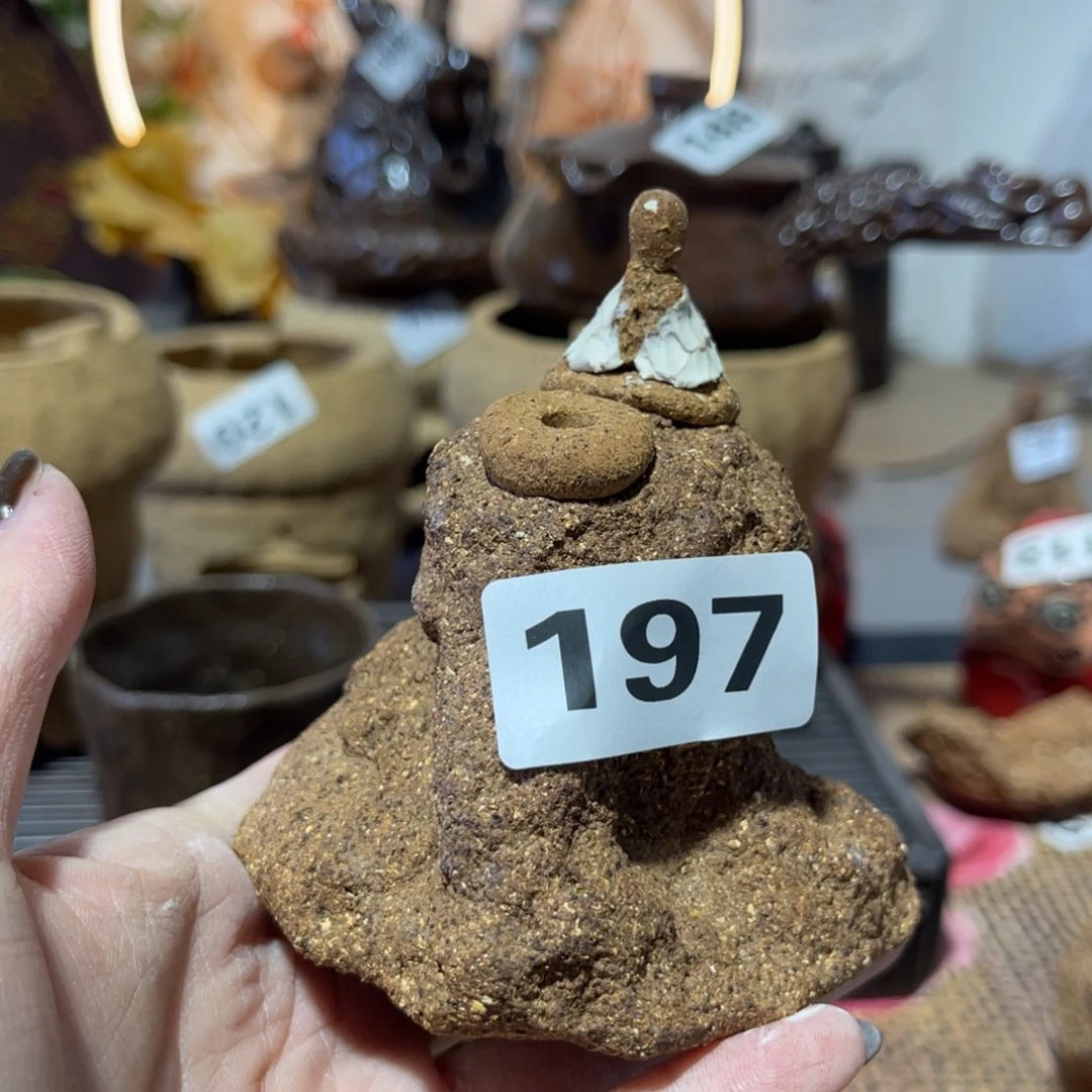 木村信弘柴烧保平