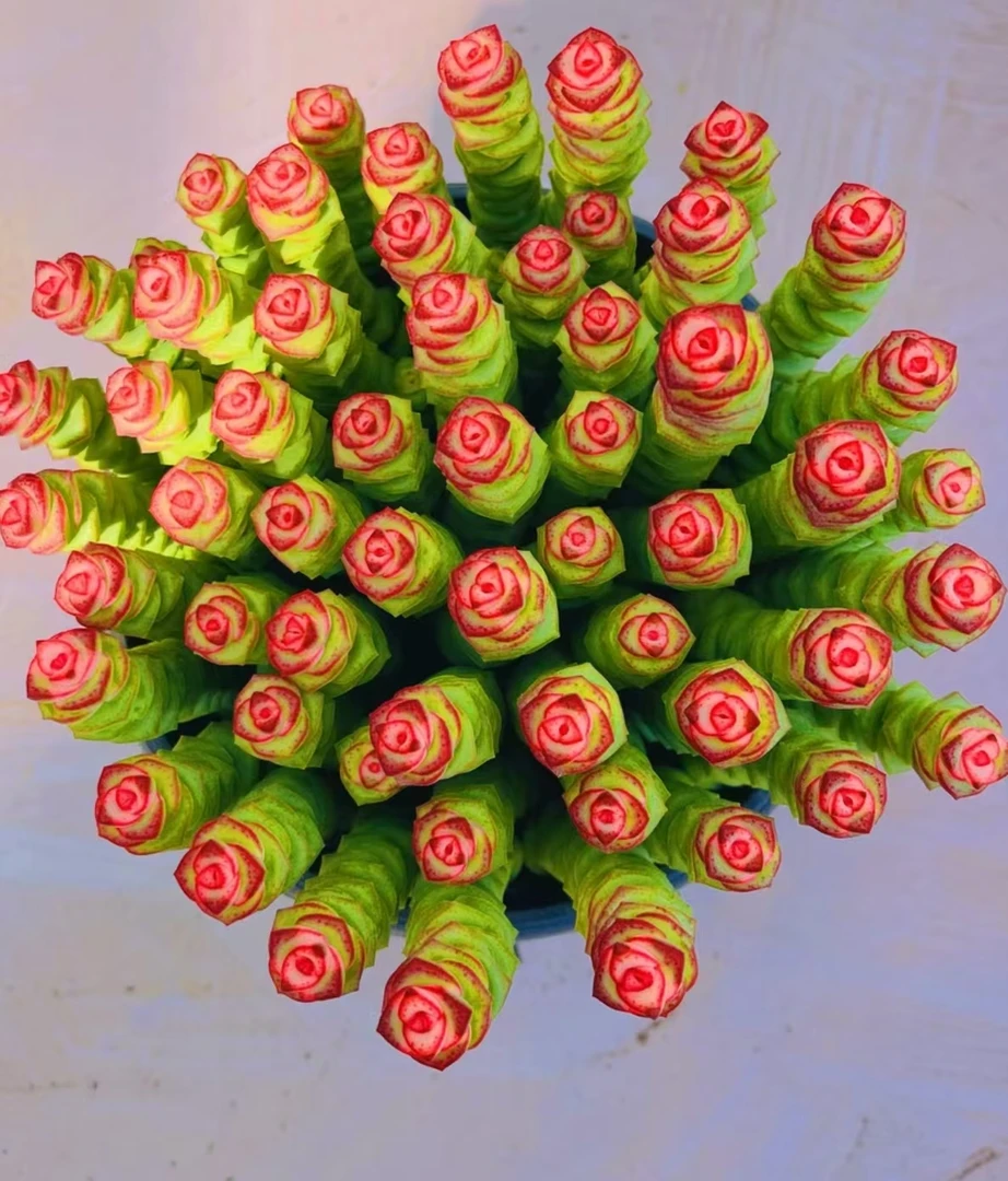 Y年宵花钱多多 【元旦迎新】【年宵纳福】多肉植物 带盆带土发货