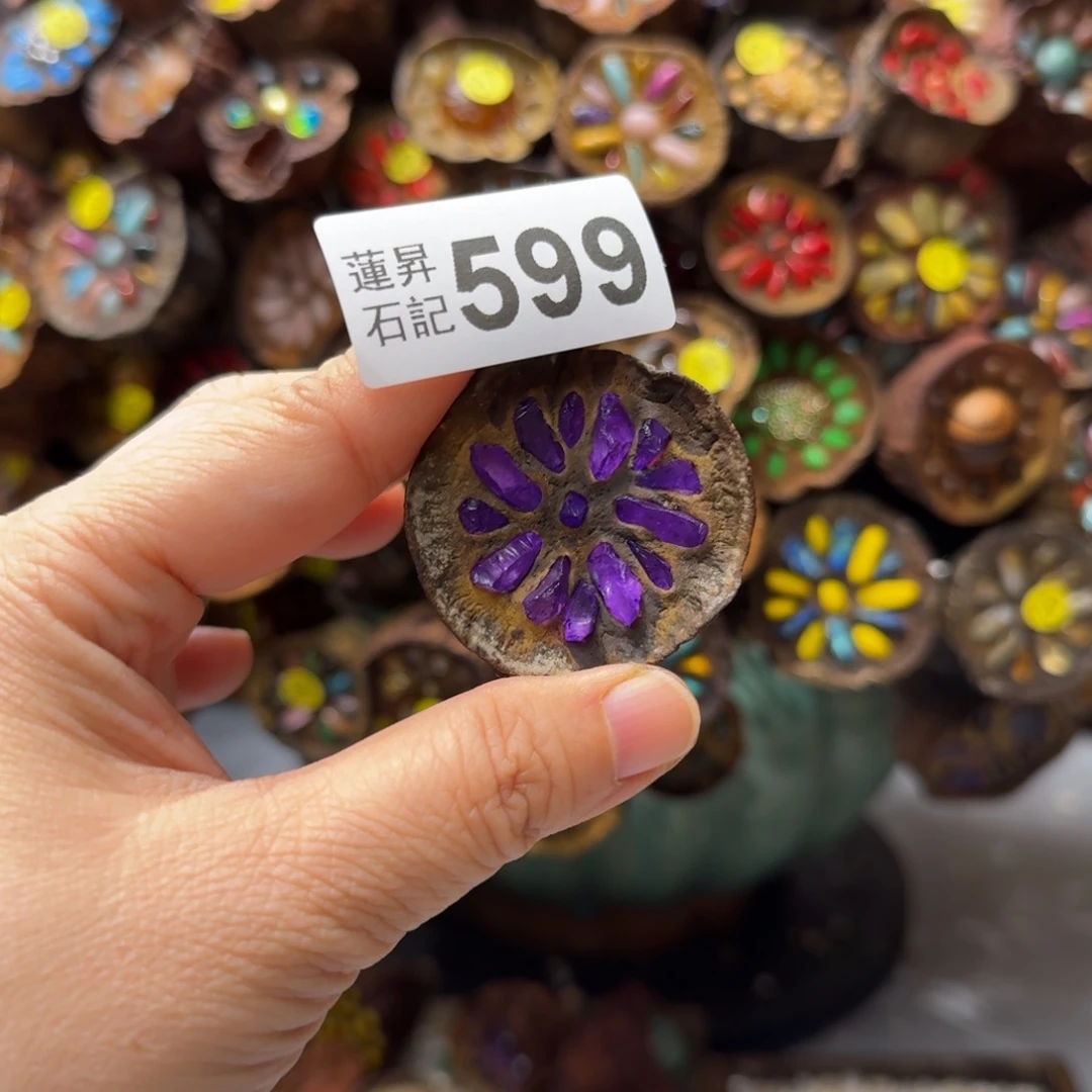 娃***娃核桃木/黑胡桃（胡桃木）599