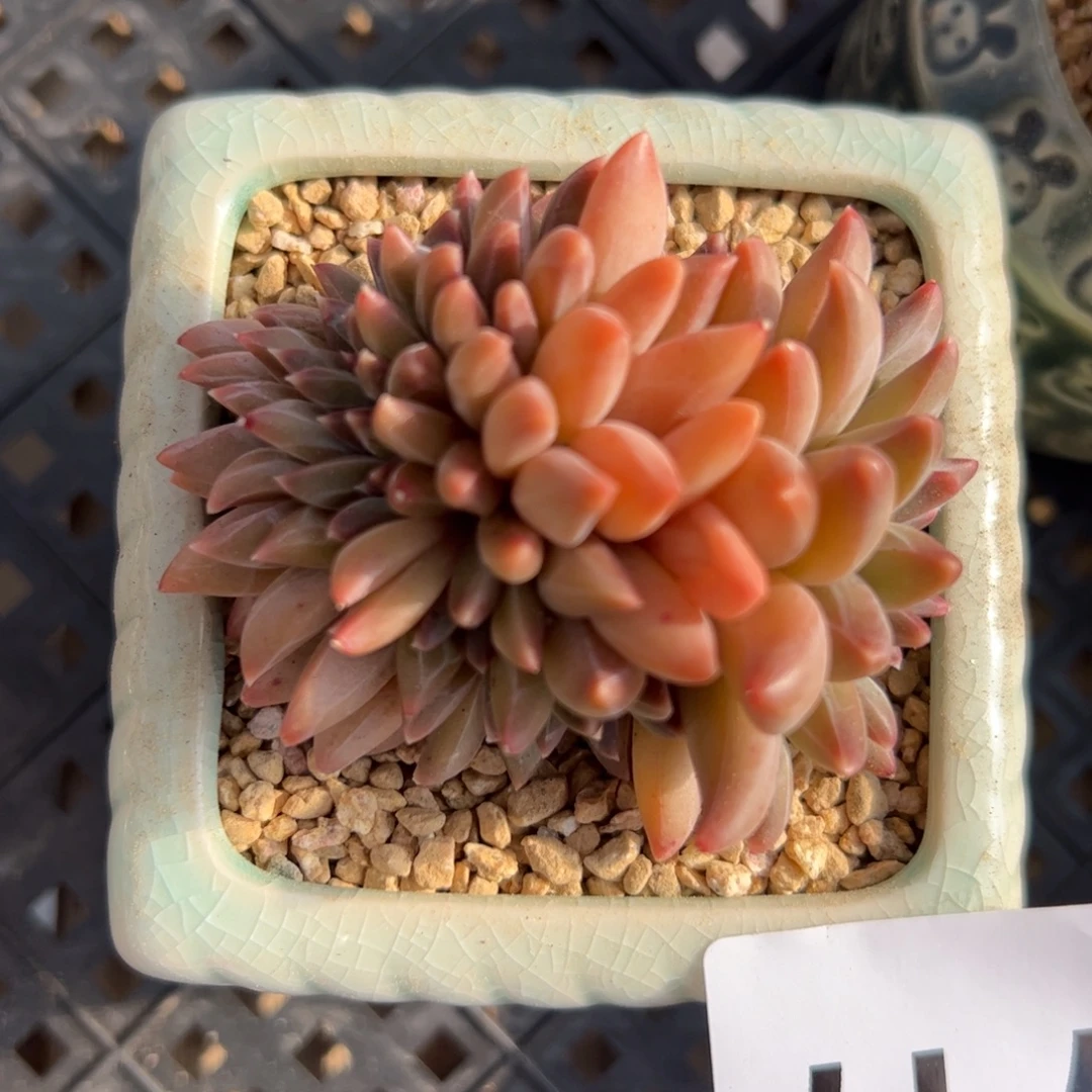 717 满38包邮一物一拍