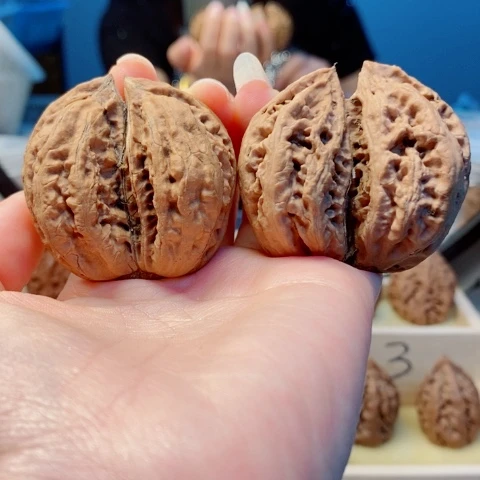 桃核把件东北秋子6