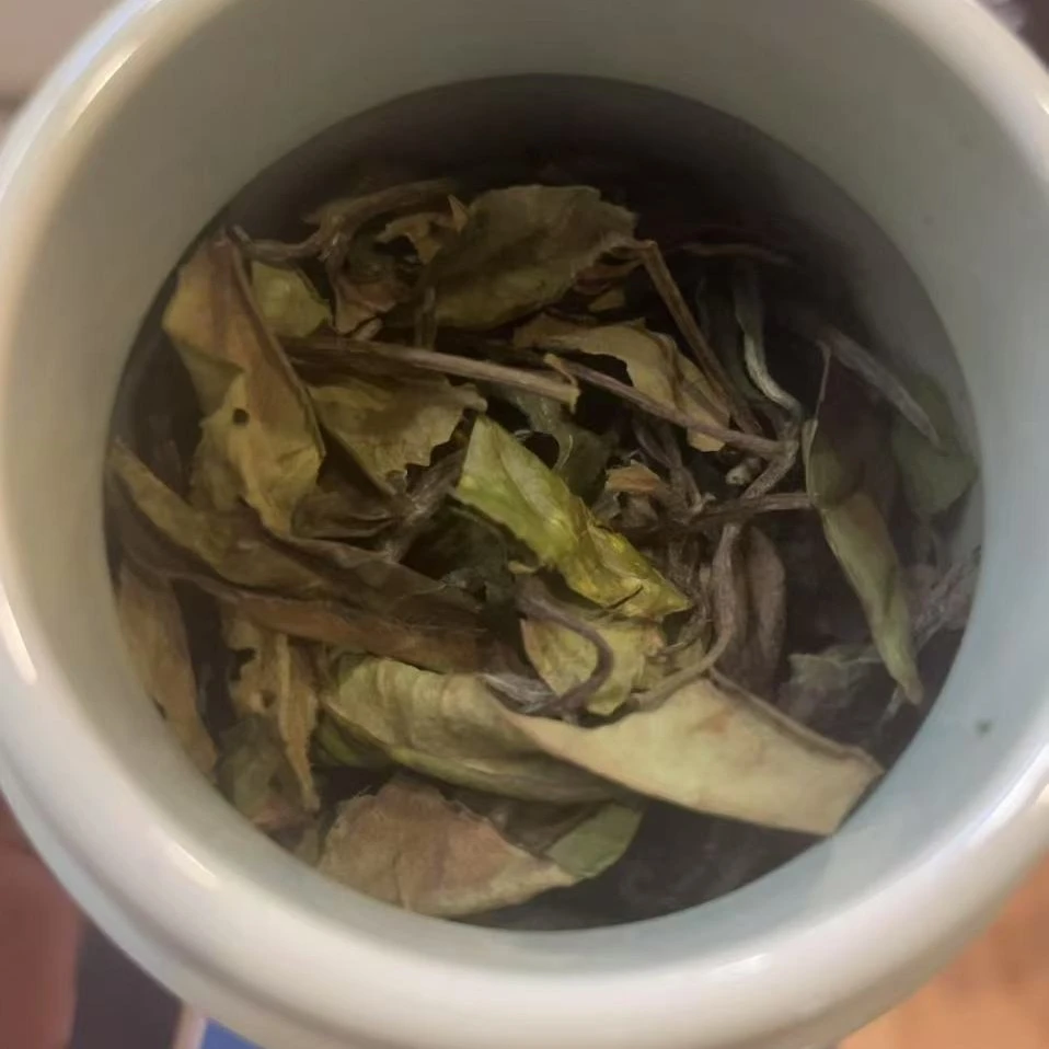 【儒君精选】2020年福鼎老树寿眉