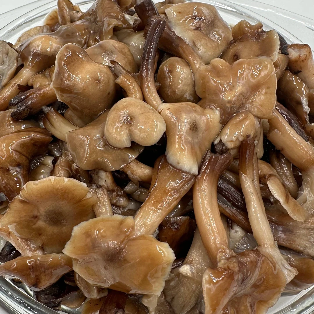 腌渍蘑菇 腌渍榛蘑鲜蘑菇 鲜榛蘑 无添加无防腐剂 500克*2罐