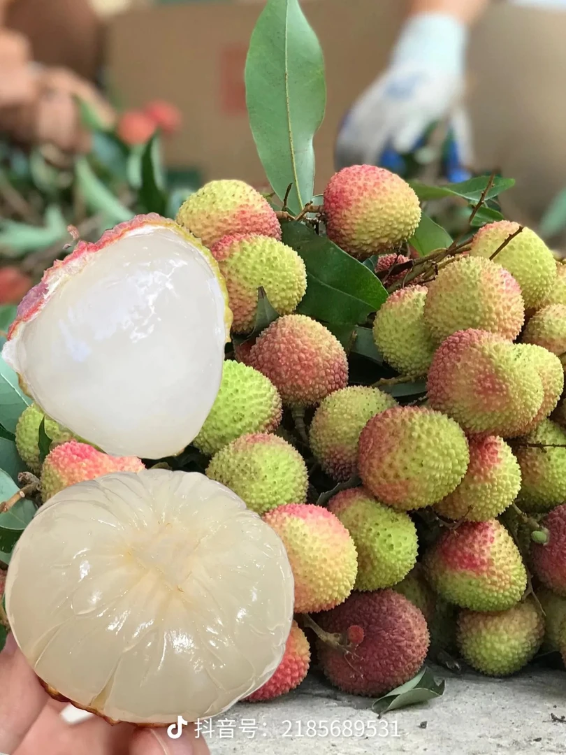 （现摘现发）妃子笑荔枝高州正宗荔枝