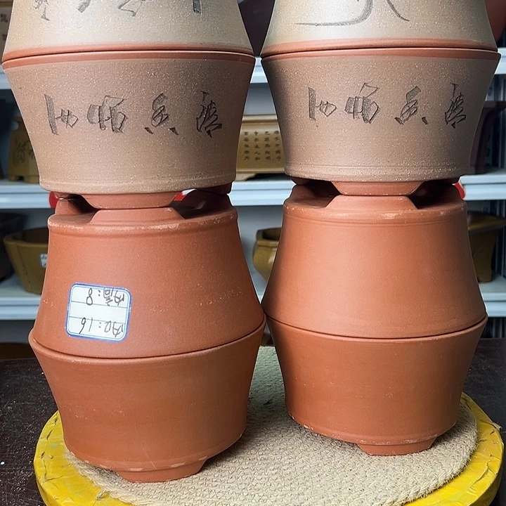 紫砂花盆你在一起