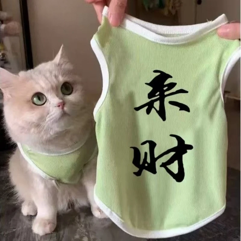 缅因英短猫咪狗狗衣服宠物猫渐层防掉毛透气时尚可爱洋气透气背心