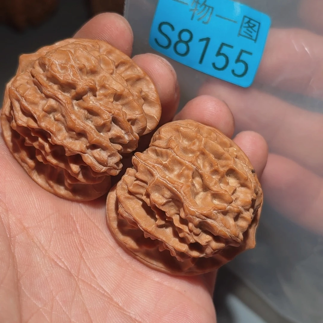 把件文玩核桃红珊瑚