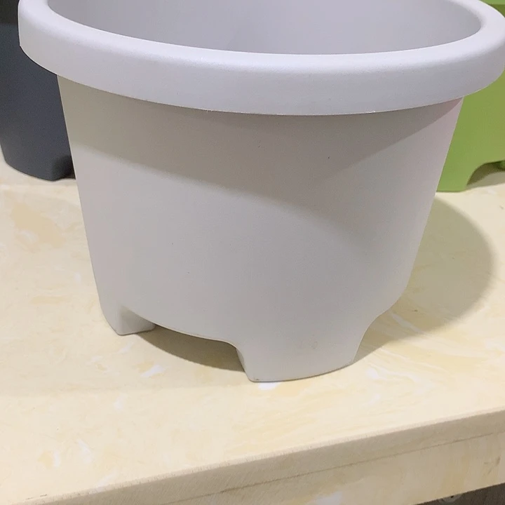 球根口21灰白5个无托