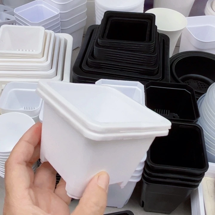 白方口9高7一组15