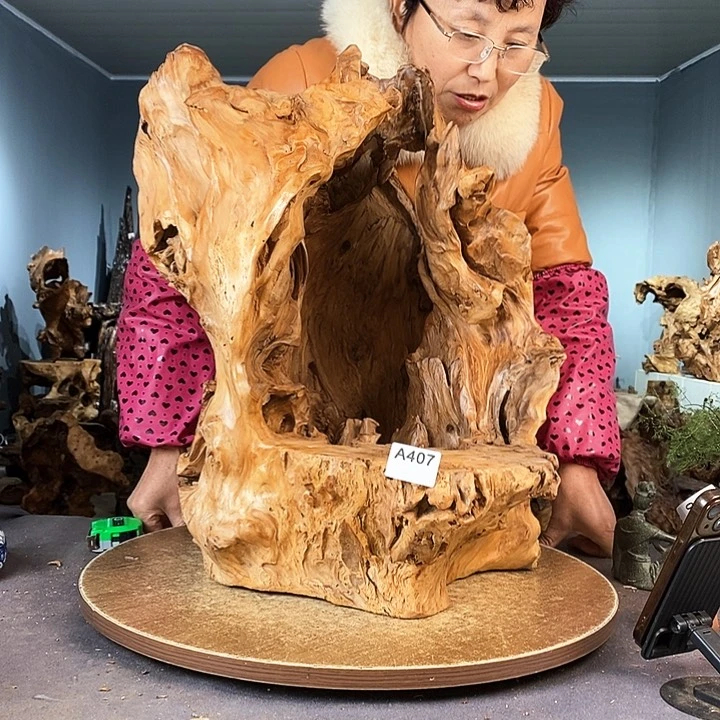 茶盏卢*周407株木的随行的根艺