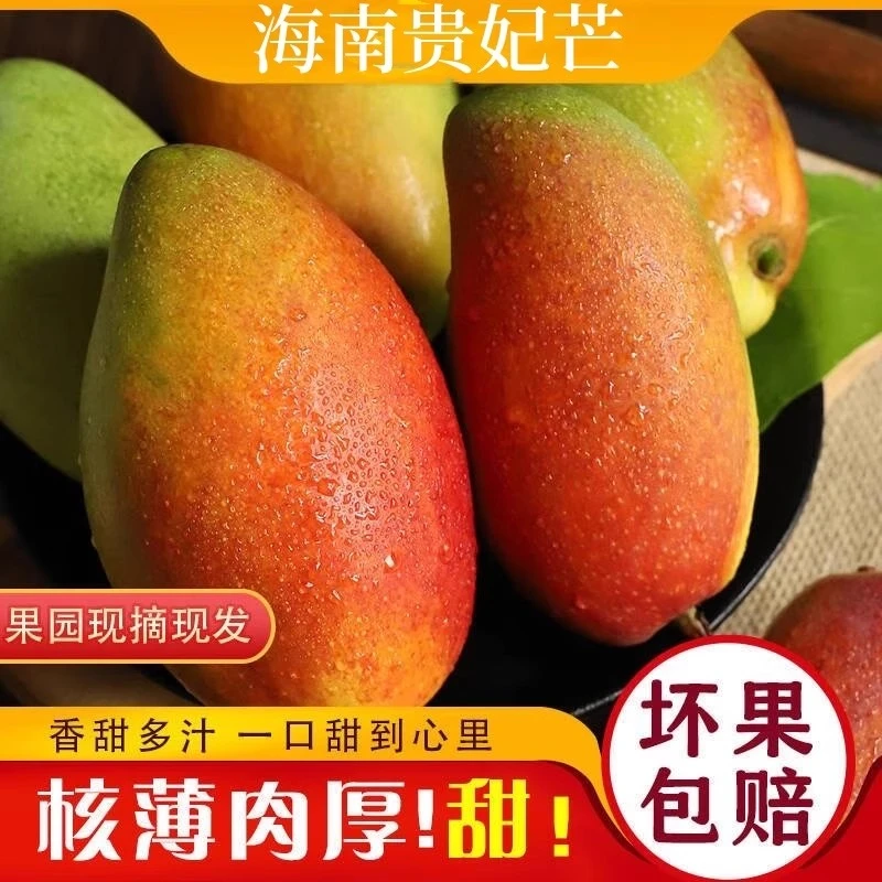 【放软吃】海南贵妃芒芒果香甜多汁4.5斤整箱当季水果皮薄现摘新鲜