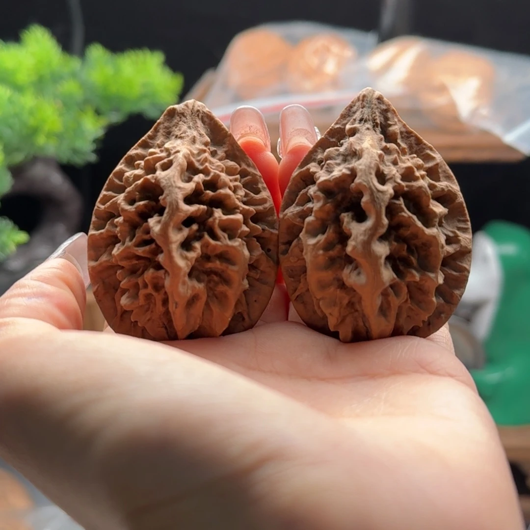 文玩核桃把件关东木子楸百核20