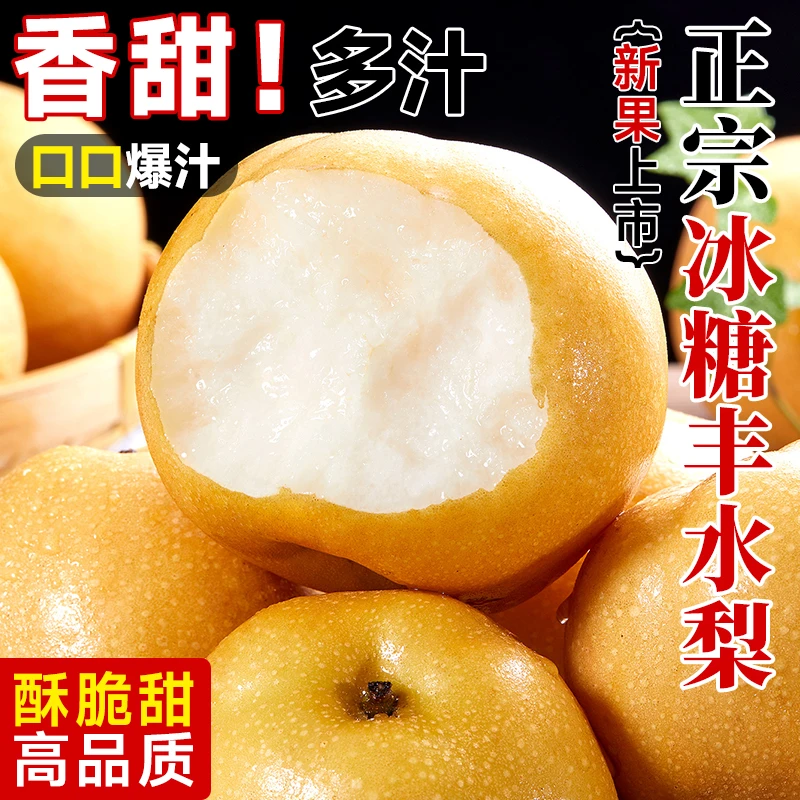 冰糖丰水梨当季梨子新鲜水果整箱现摘大果产地直发脆秋月梨子薄皮