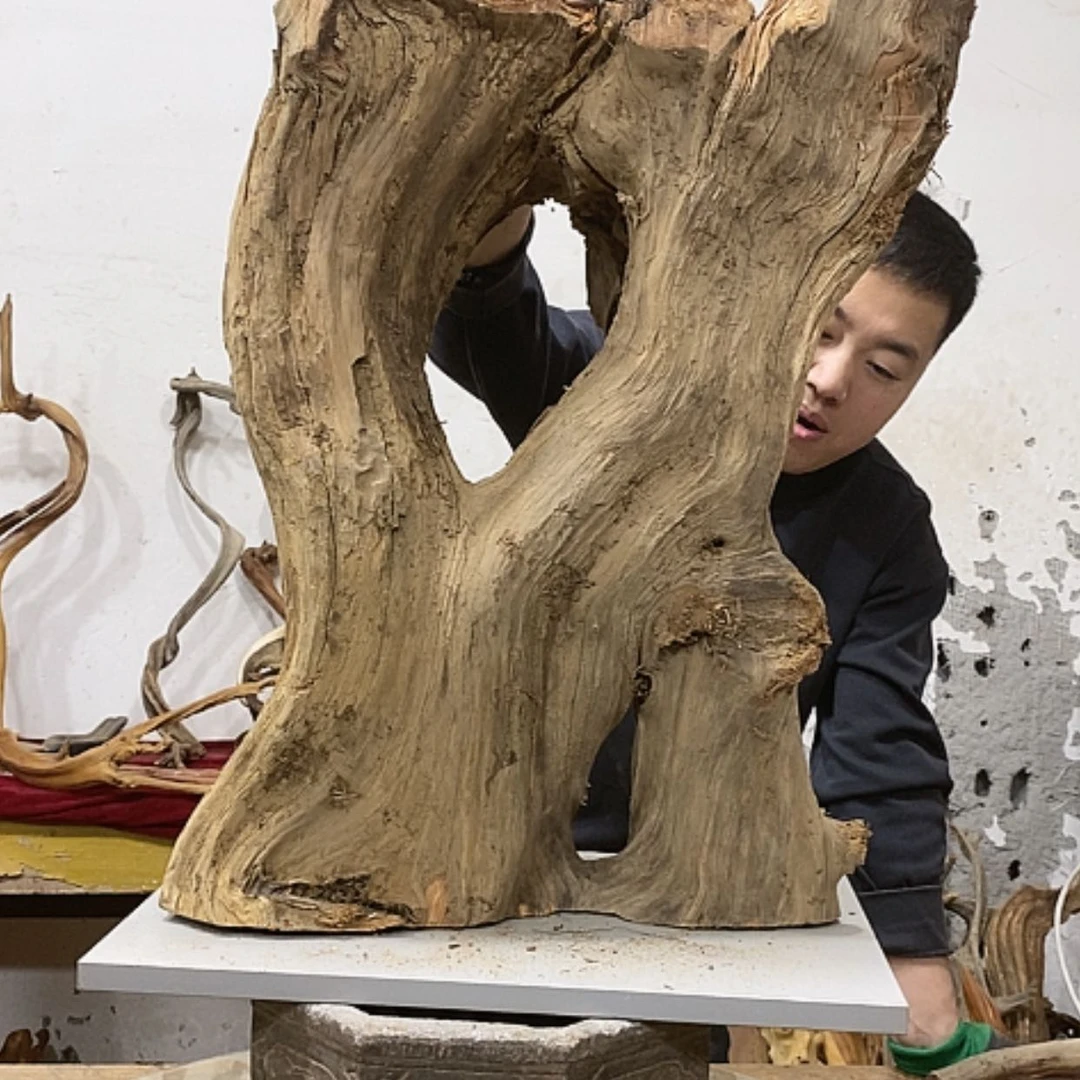 【闪购商品】柏木梁*我们都是好孩子