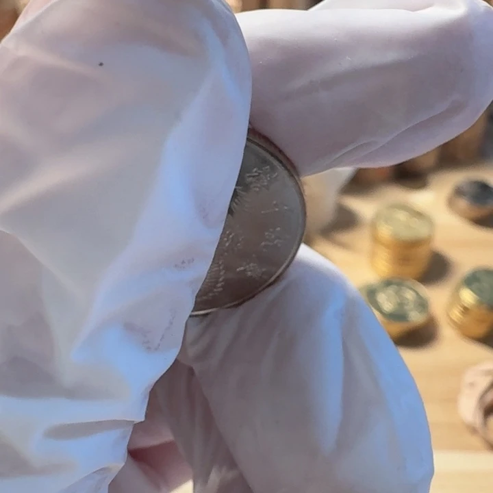 其他普通金属千禧龙币