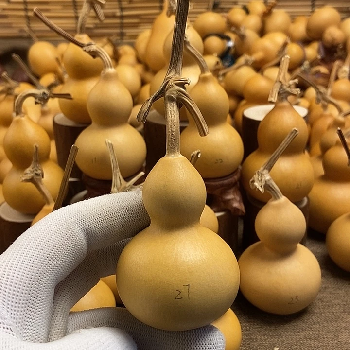 文玩葫芦 完美主义者 慎拍27