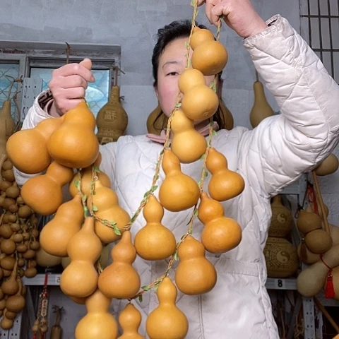 菩*天然植物葫芦文玩