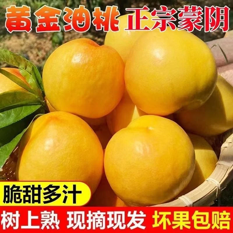 果润禧芒果油桃山东蒙阴新鲜水果当季孕妇脆甜黄金桃子露天桃