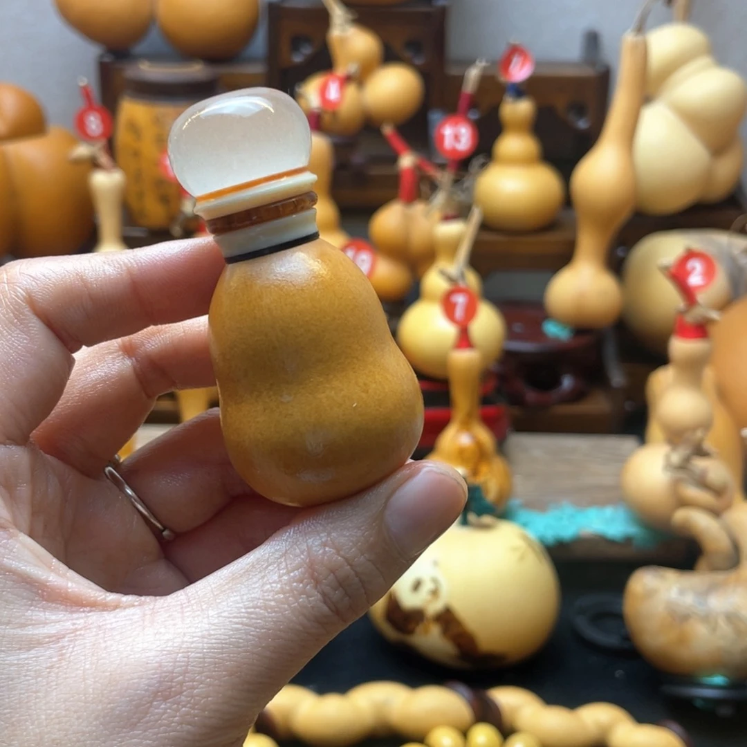 ?****?大自然的秘密第十节你是谁