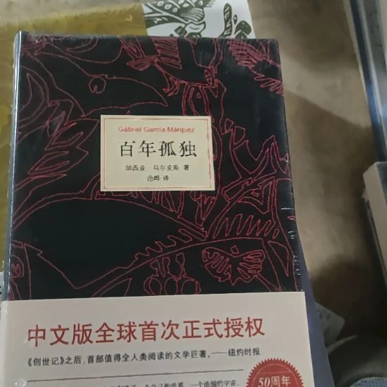 闪购闪购。百年孤独11