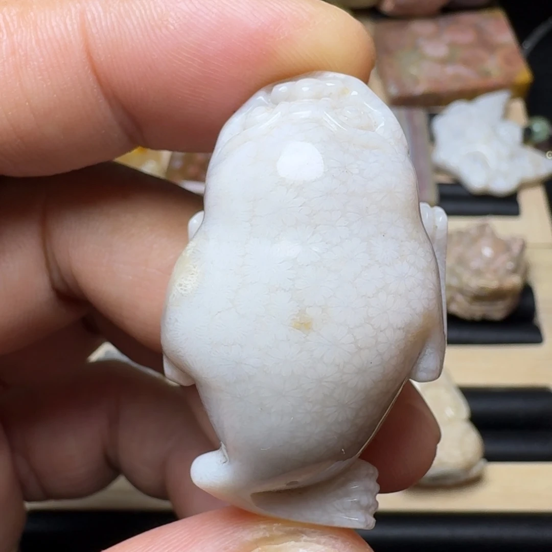 未镶嵌纯天然色有机玉石保真色硅化玉