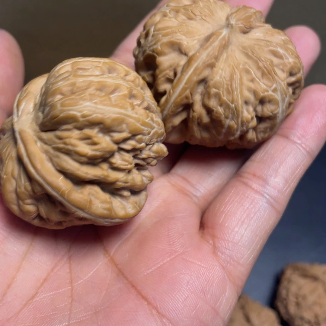 大***赛大叶紫檀（黑酸枝木类）