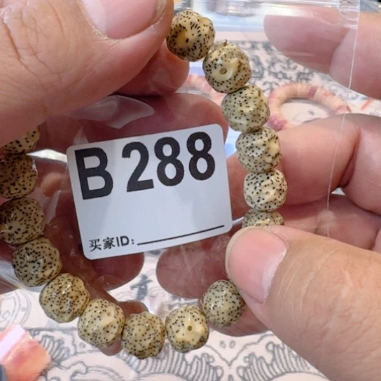 香榧木哈哈花板爸爸v和b288