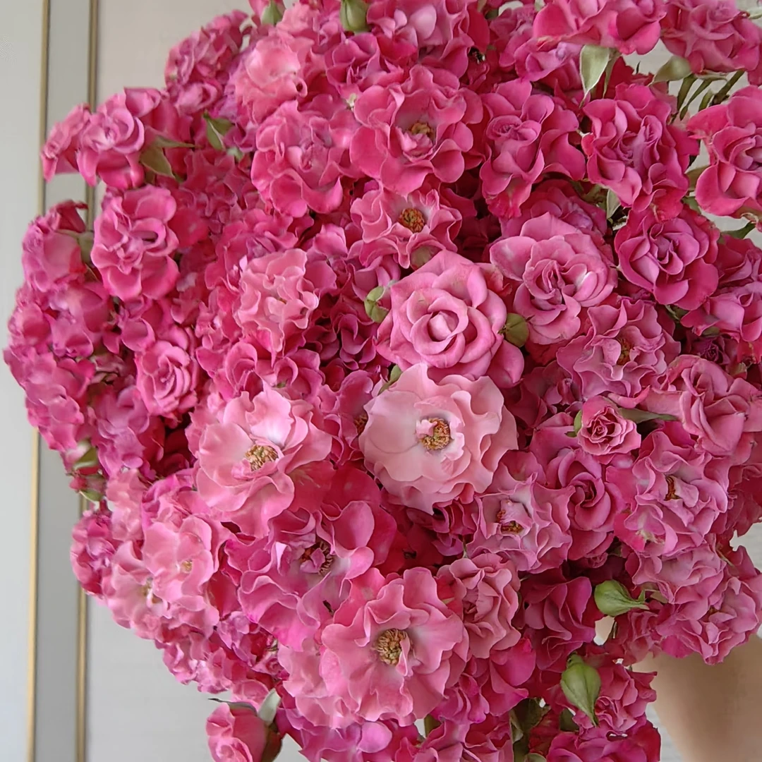 多头星河湾玫瑰9支+1支防损 斗南顺丰直发