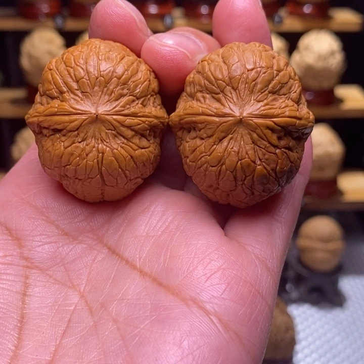 木质类云铁玄蛊地甲40号