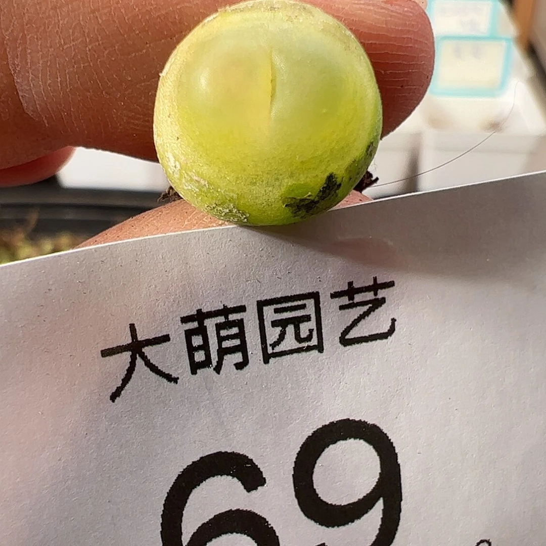 000069 一物一拍……