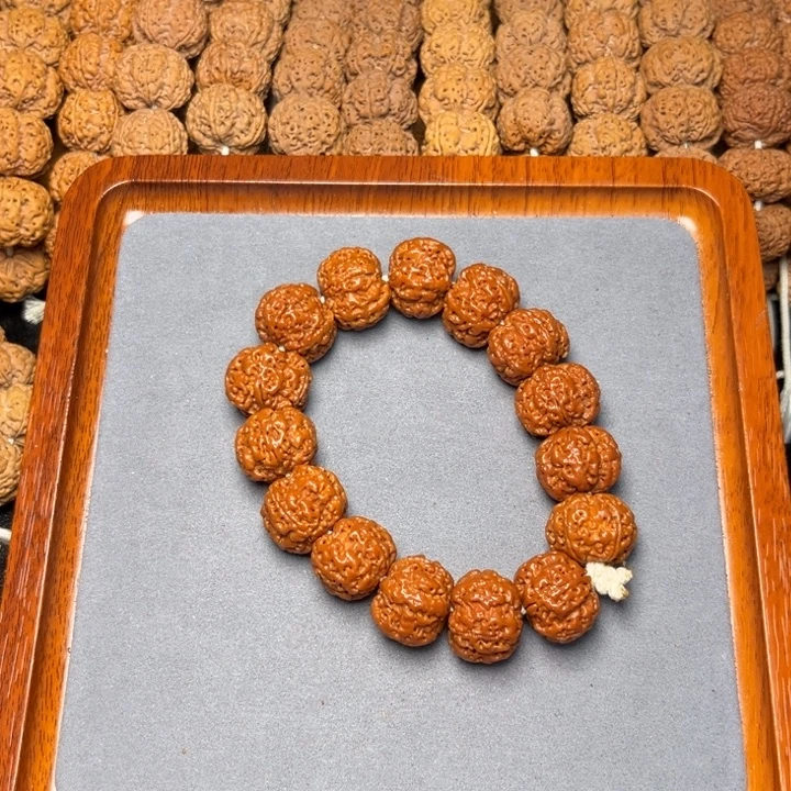 5号尼泊尔大金刚21雪花扇面