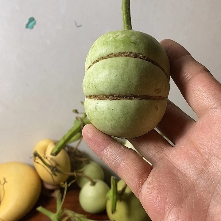 吴***猫青皮腰子葫芦手把件