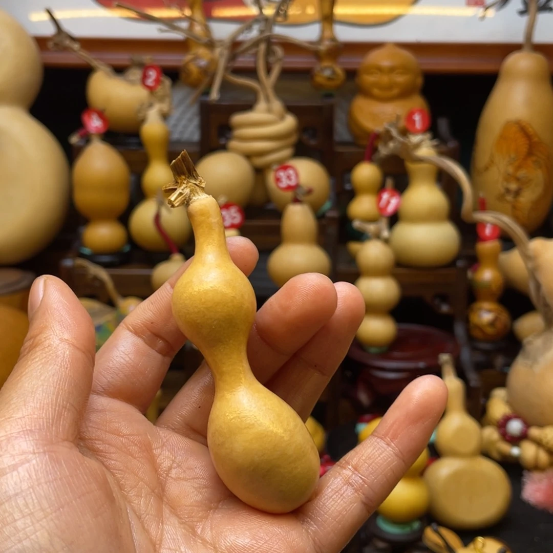 繩*葫芦笙等多种乐器演奏的技巧与