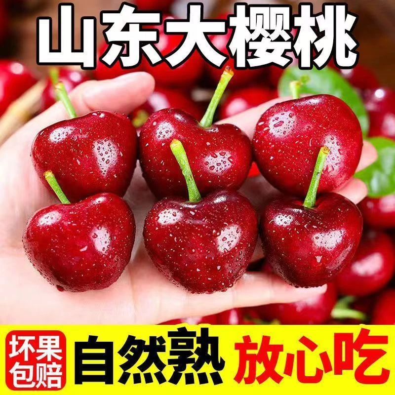 【山东 潍坊】红灯樱桃 1J-6J 空运内附果径卡2-5斤 内附果径卡