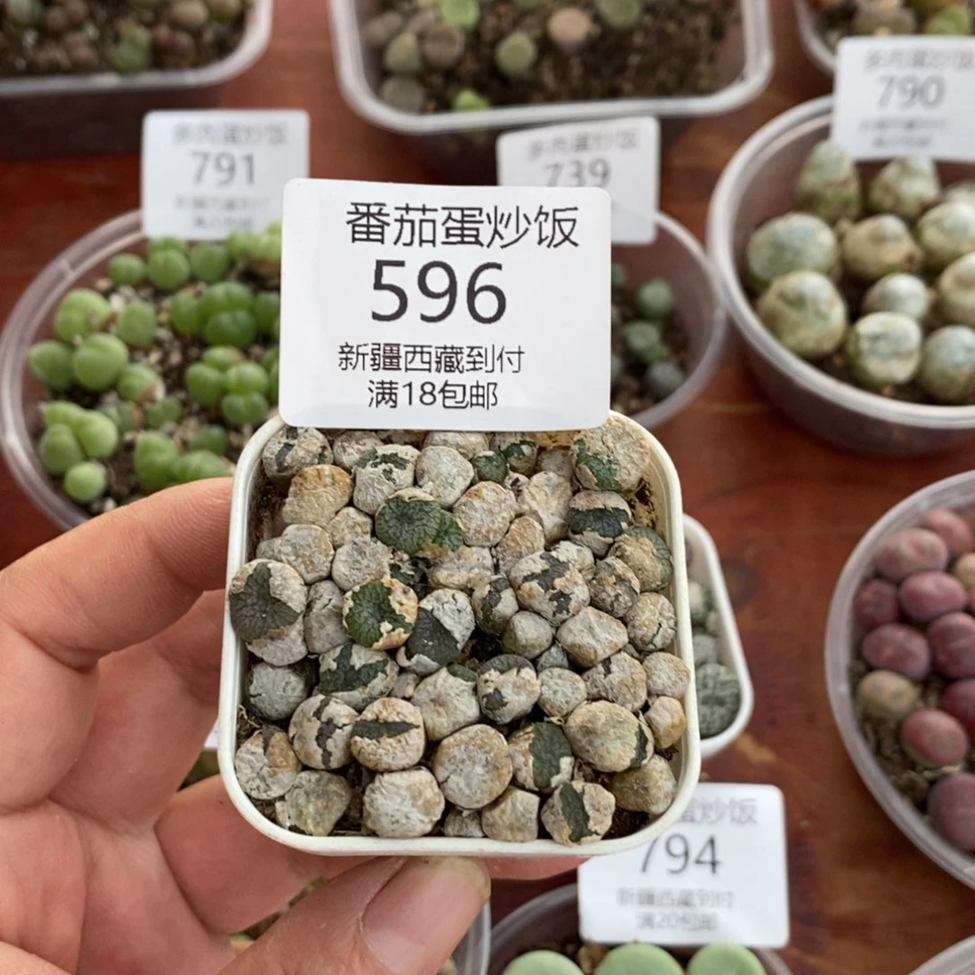感谢您的支持，00596