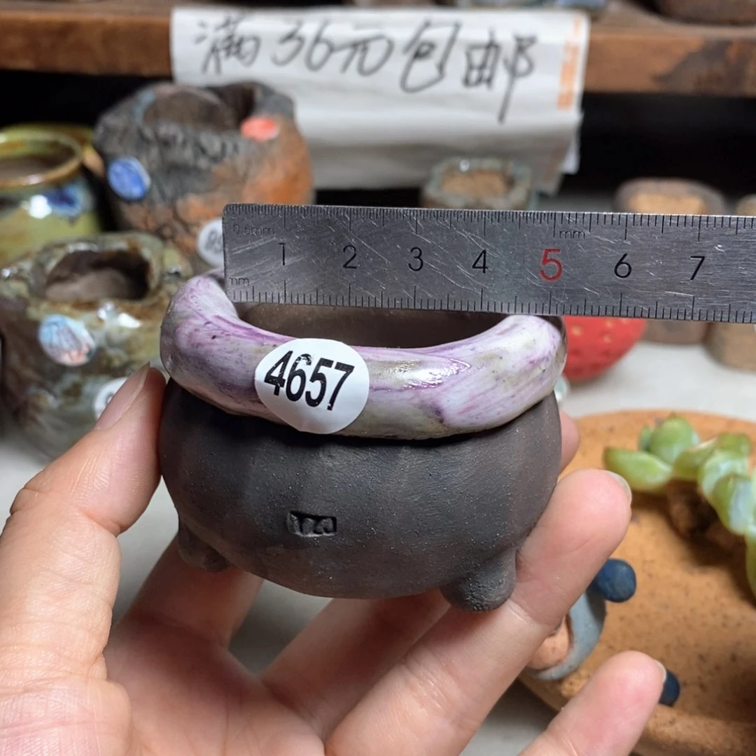 拍3送一个小礼物