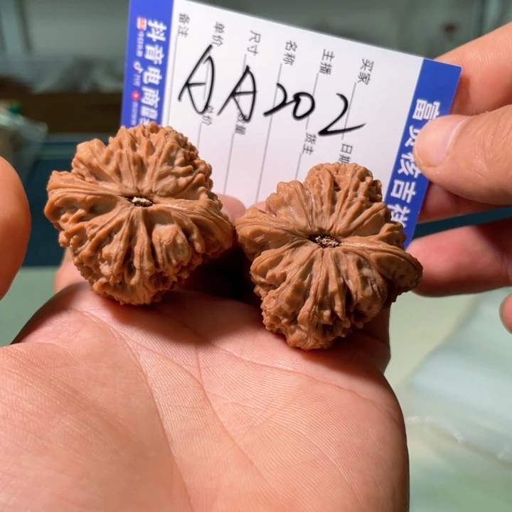 把件核桃43尺寸全品无修赵喜满红皮南将石