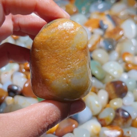 和田玉（糖玉）手链未镶嵌