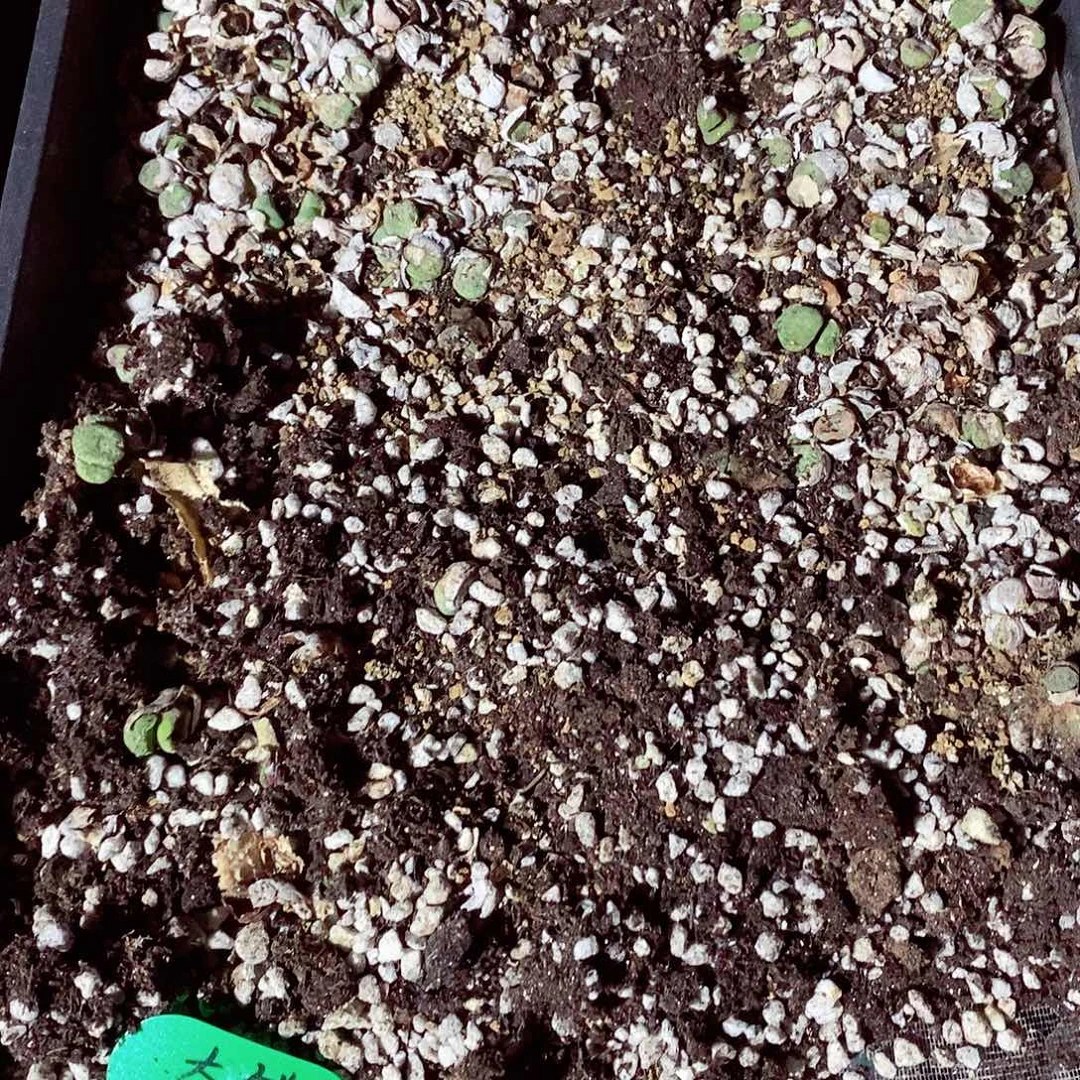 289呃呃呃呃呃呃呃呃呃呃呃呃呃