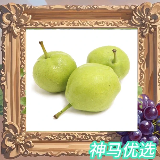 甘肃早酥梨一颗(约150至200克）脆甜爆汁