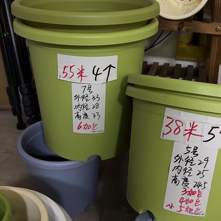果绿色7号口径33高33无托6个