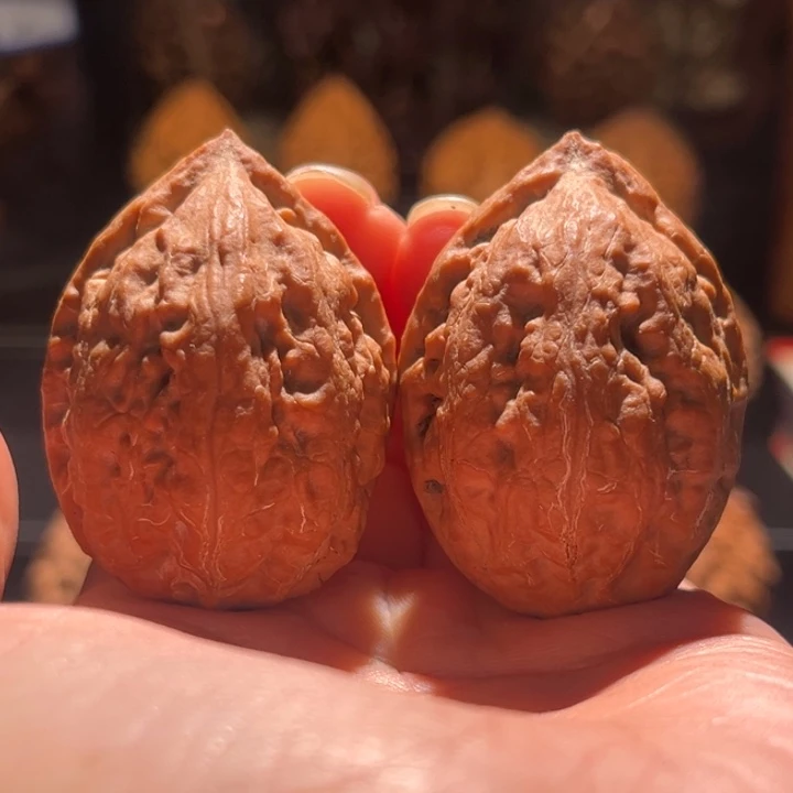 吊坠文玩核桃粗筋霸王龙16