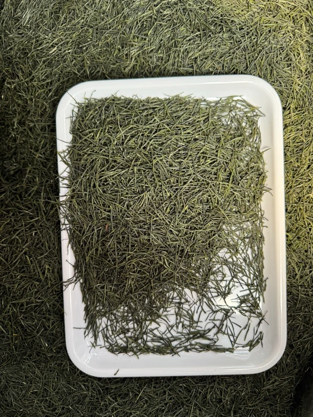 绿茶 2025高山绿茶