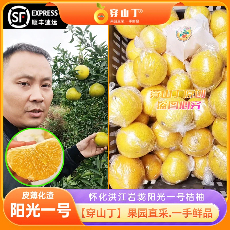 阳光一号桔柚_湖南怀化洪江安江阳光1号桔柚柑橘甜心柚化渣-顺丰