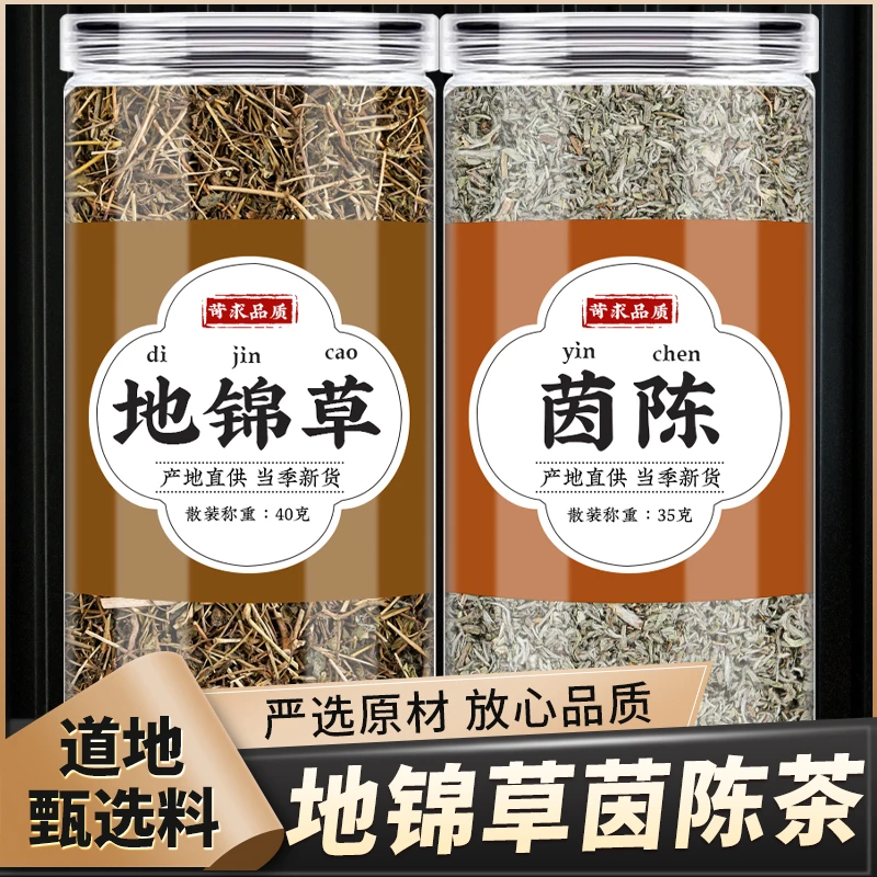 地锦草茵陈正品新鲜千根草小红筋草红丝草泡煮水