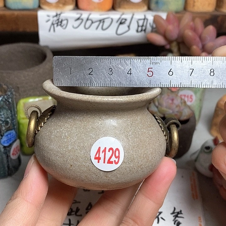 红陶拍5送一个小