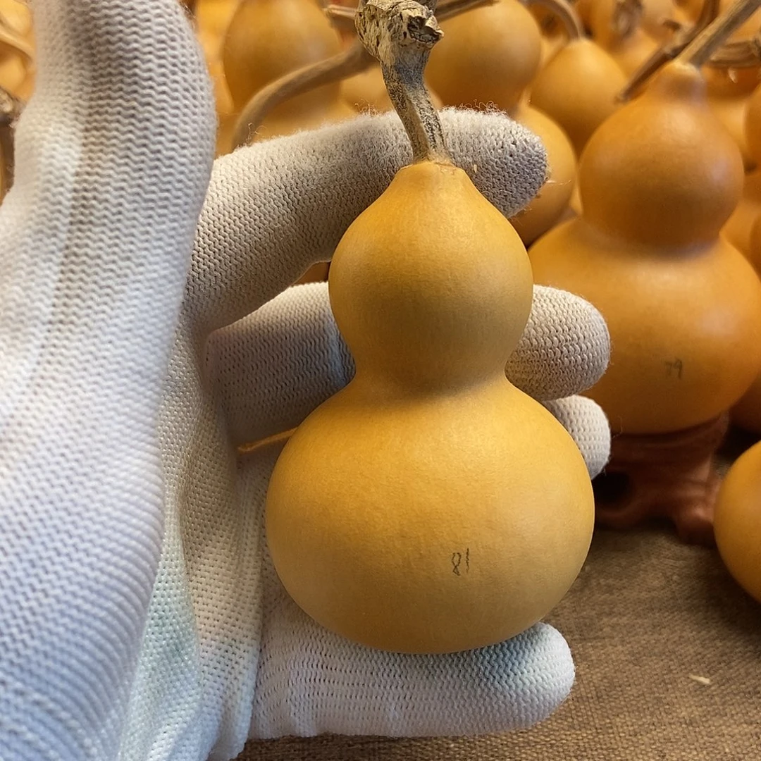 文玩葫芦 完美主义者 慎拍81