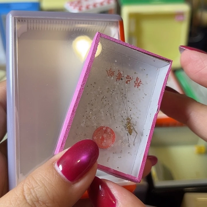 郡***仲蟋蟀哈哈哈哈哈哈哈哈哈哈哈