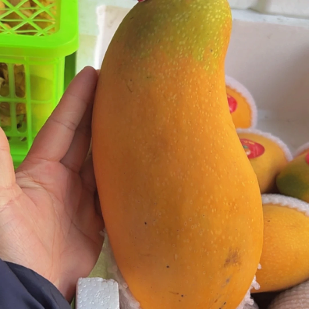 【配送到家】水仙芒一个约700克